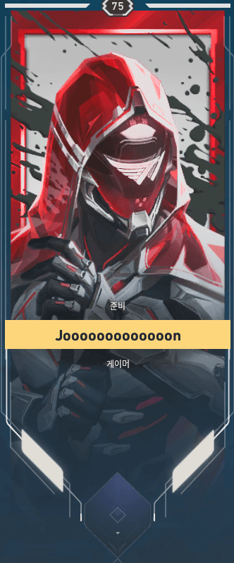 North America Valorant Profile